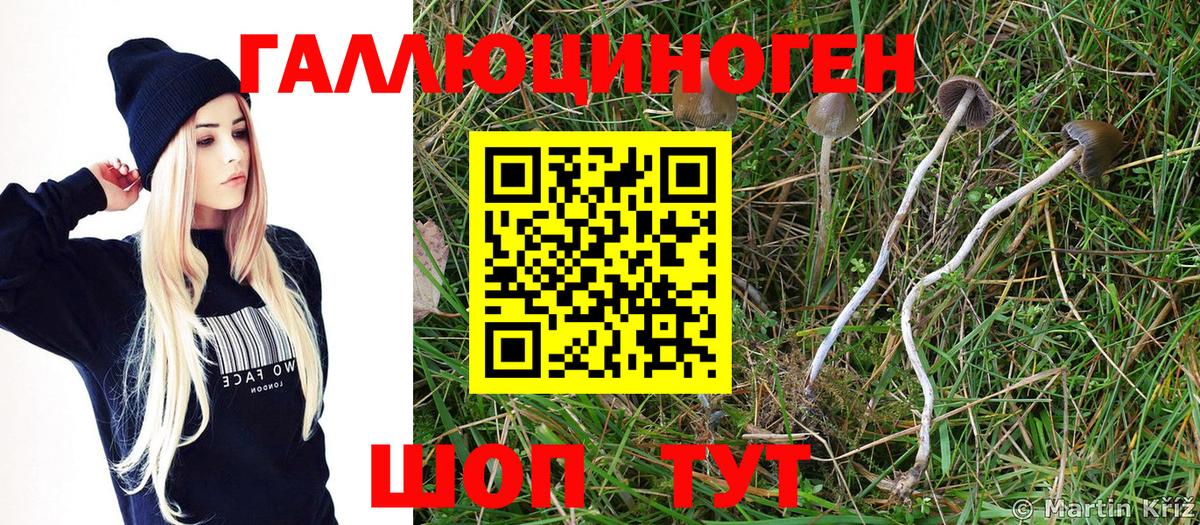 Зеленокумск  Псилоцибиновые грибы Magic Shrooms  Вход с VPN  Галлюциногенные грибы Psilocybine cubensis 